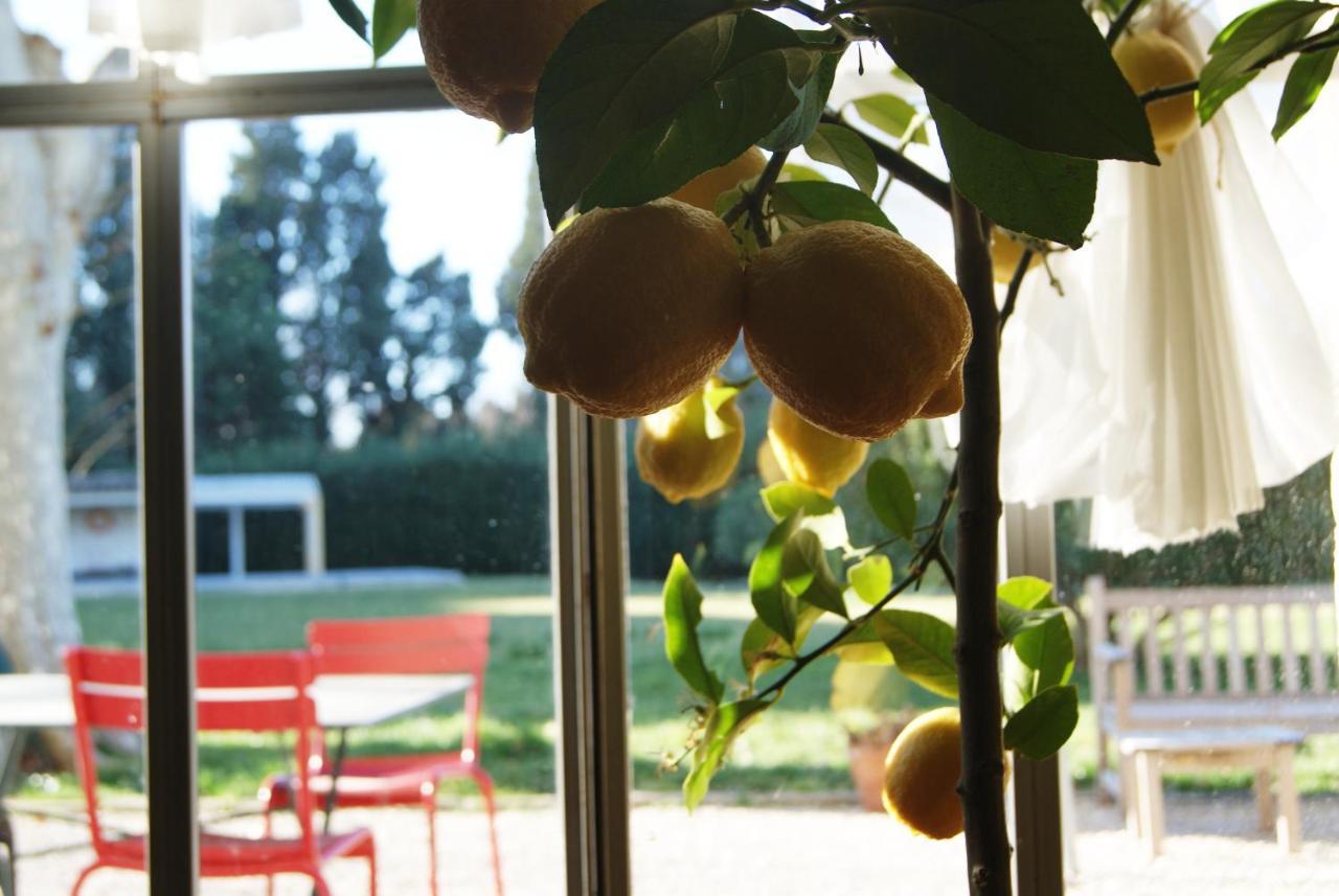 La Ferme De Gigognan Bed & Breakfast Avignon Bagian luar foto